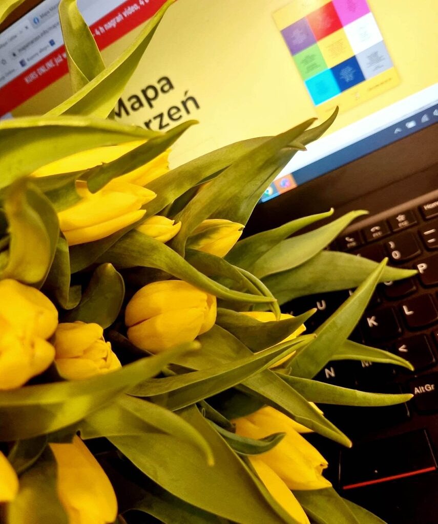 Żółte kwiaty przed laptopem z włączoną stroną mapy marzeń