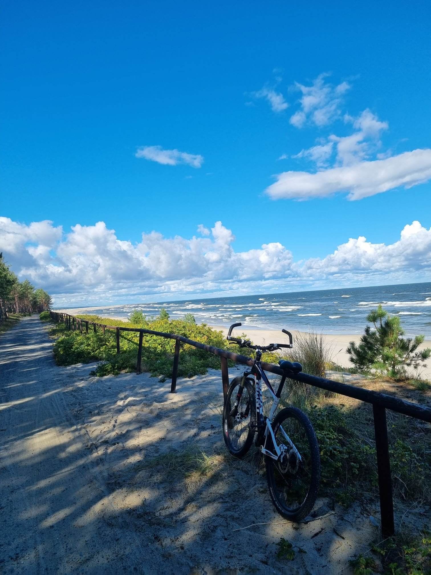 rower oparty o drewniany płotek z widokiem na plaże
